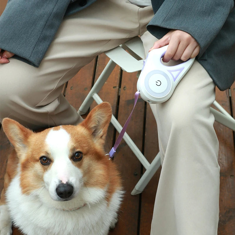 Heavy-Duty Retractable Dog Leash with LED Light β 3M & 5M Strong Nylon Pet Lead, Automatic Extension Rope for Large Dogs & Cats